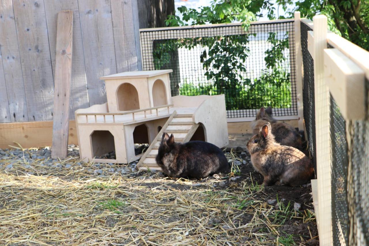 Ferienbauernhof Moosbrugger Lägenhet Schoppernau Exteriör bild