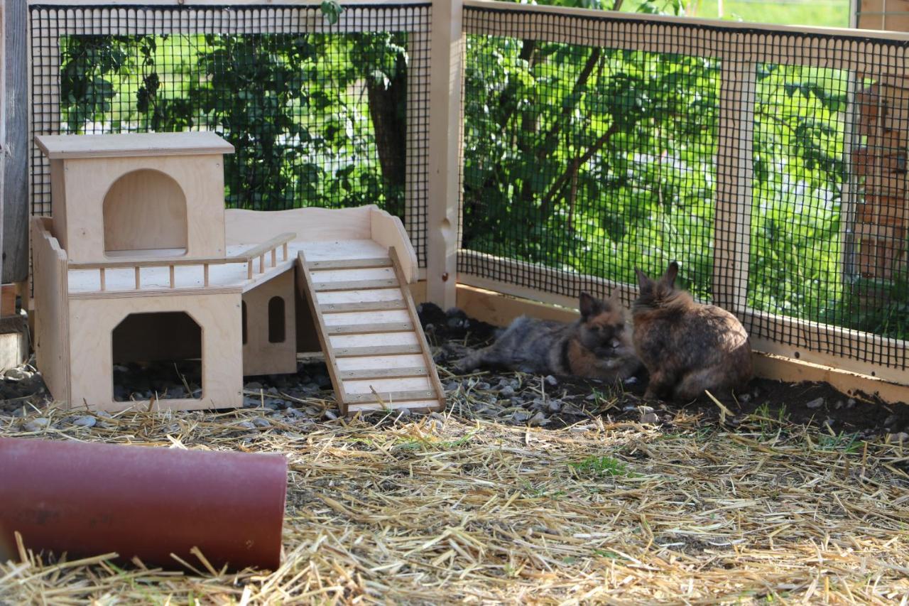 Ferienbauernhof Moosbrugger Lägenhet Schoppernau Exteriör bild