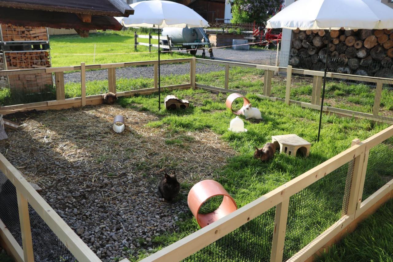Ferienbauernhof Moosbrugger Lägenhet Schoppernau Exteriör bild
