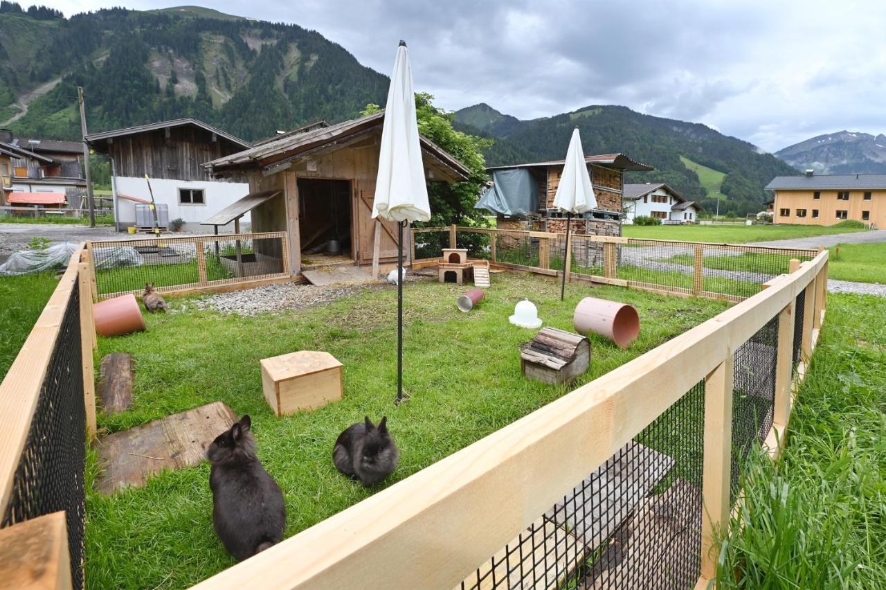 Ferienbauernhof Moosbrugger Lägenhet Schoppernau Exteriör bild
