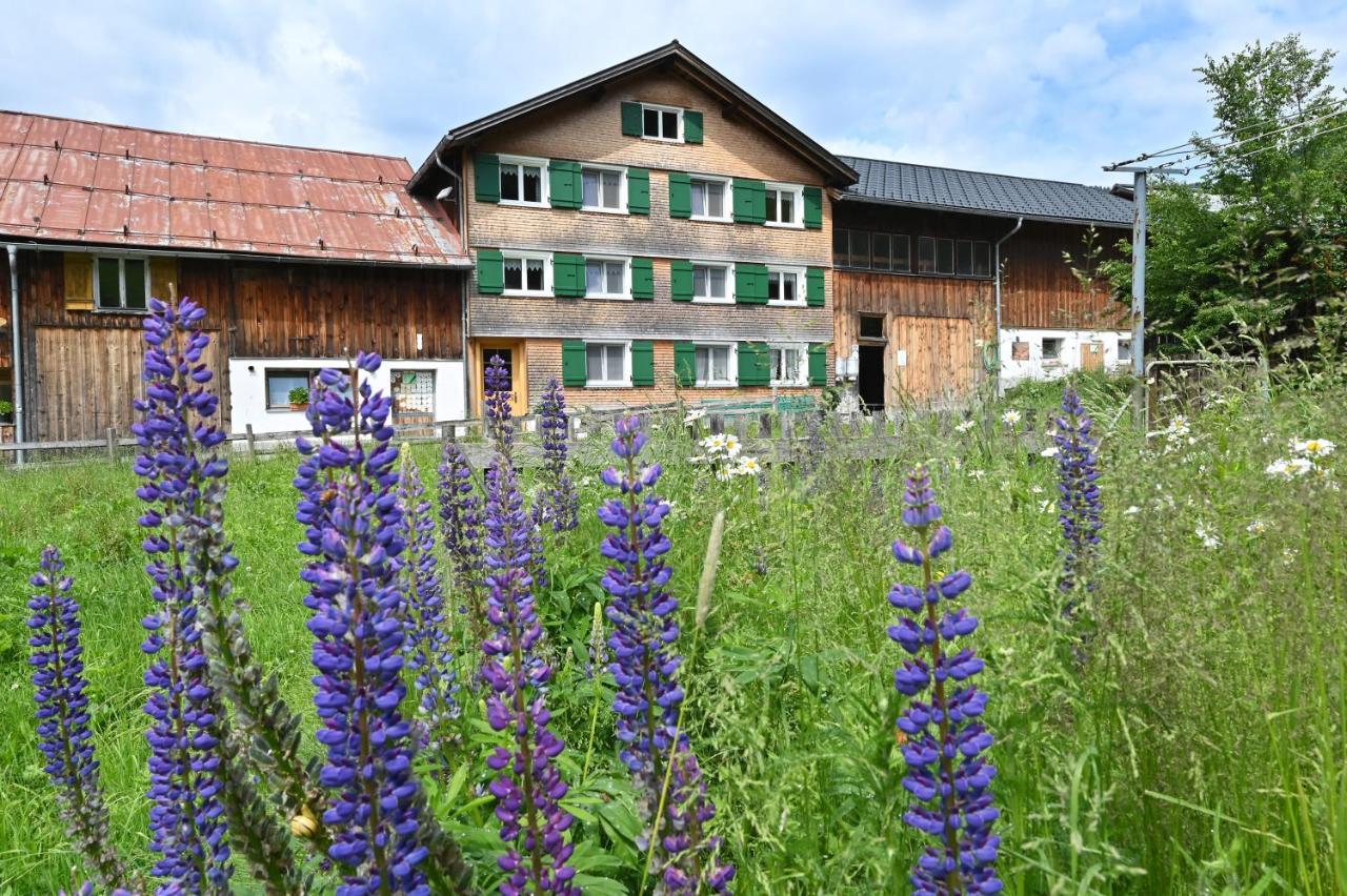 Ferienbauernhof Moosbrugger Lägenhet Schoppernau Exteriör bild