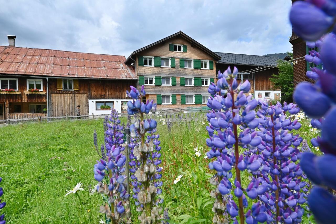 Ferienbauernhof Moosbrugger Lägenhet Schoppernau Exteriör bild