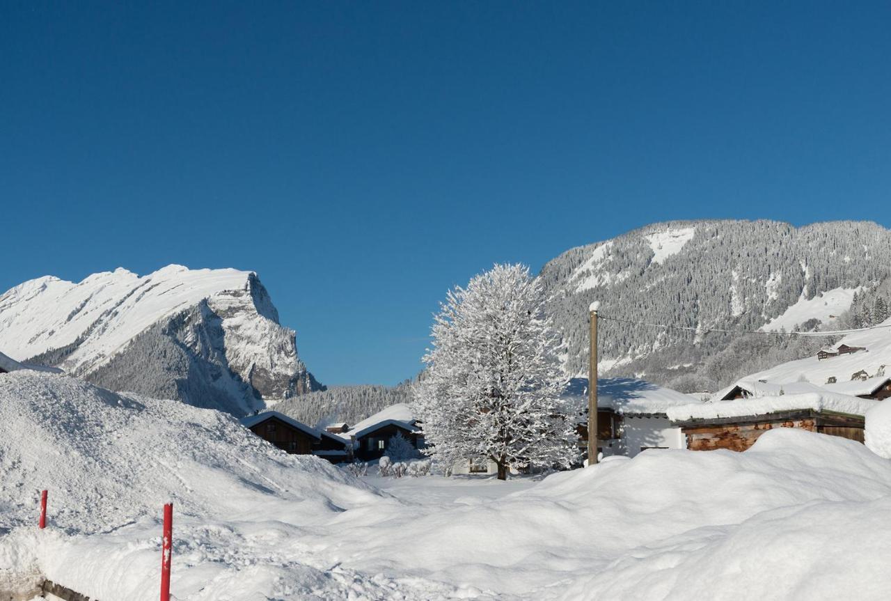 Ferienbauernhof Moosbrugger Lägenhet Schoppernau Exteriör bild